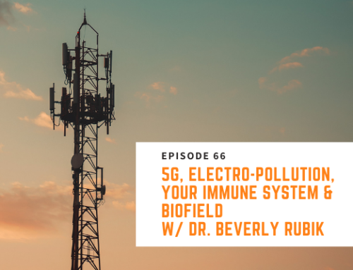 066 // Dr. Beverly Rubik – 5G, Electro-Pollution, Your Immune System & Biofield