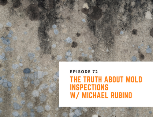 072 // Michael Rubino – The Truth About Mold Inspections