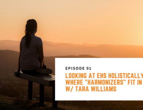 091// Tara Williams – Looking at EHS Holistically & Where “Harmonizers” Fit In