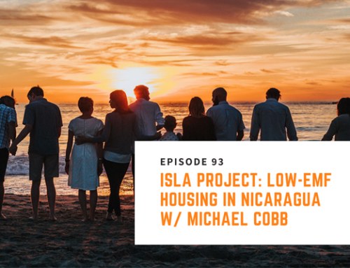 093// Michael Cobb – ISLA Project: Low-EMF Housing In Nicaragua