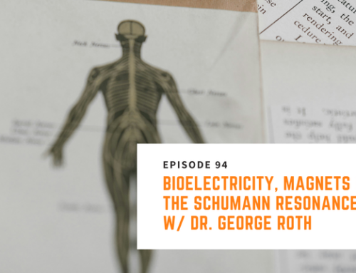 094// Dr. George Roth – Bioelectricity, Magnets & The Schumann Resonance