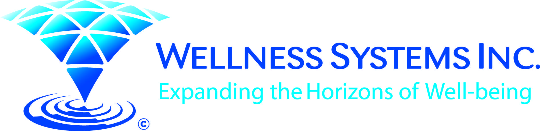 wellness systems inc