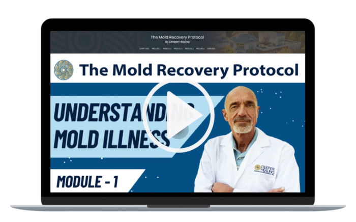 MOLD - PROMO IMAGE