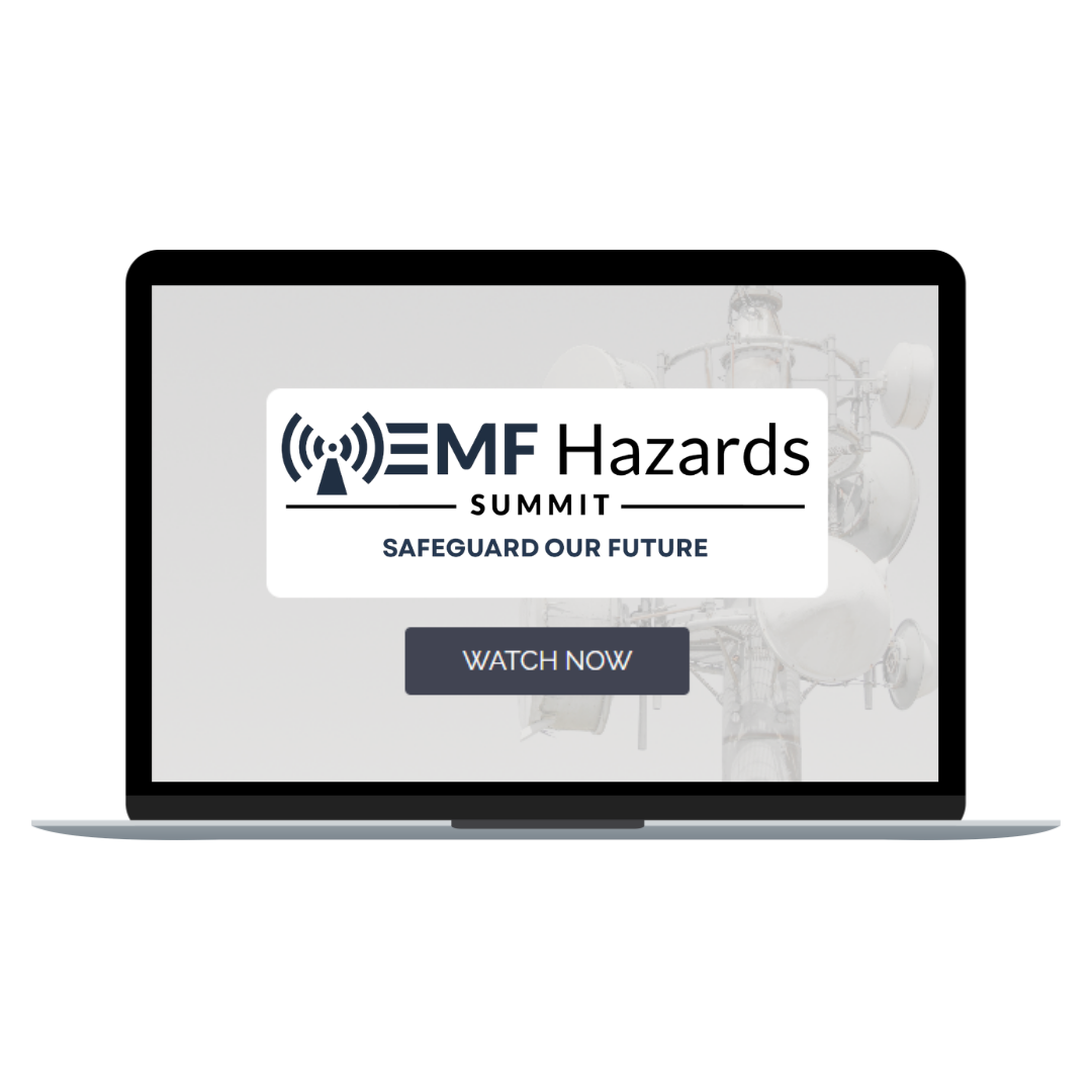 EMFH SUMMITS